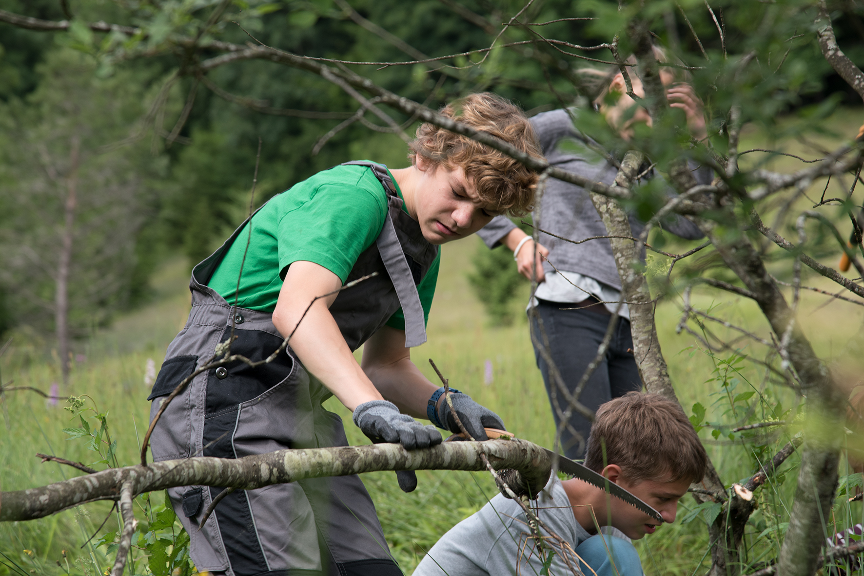 STIHL Bergwaldprojekt