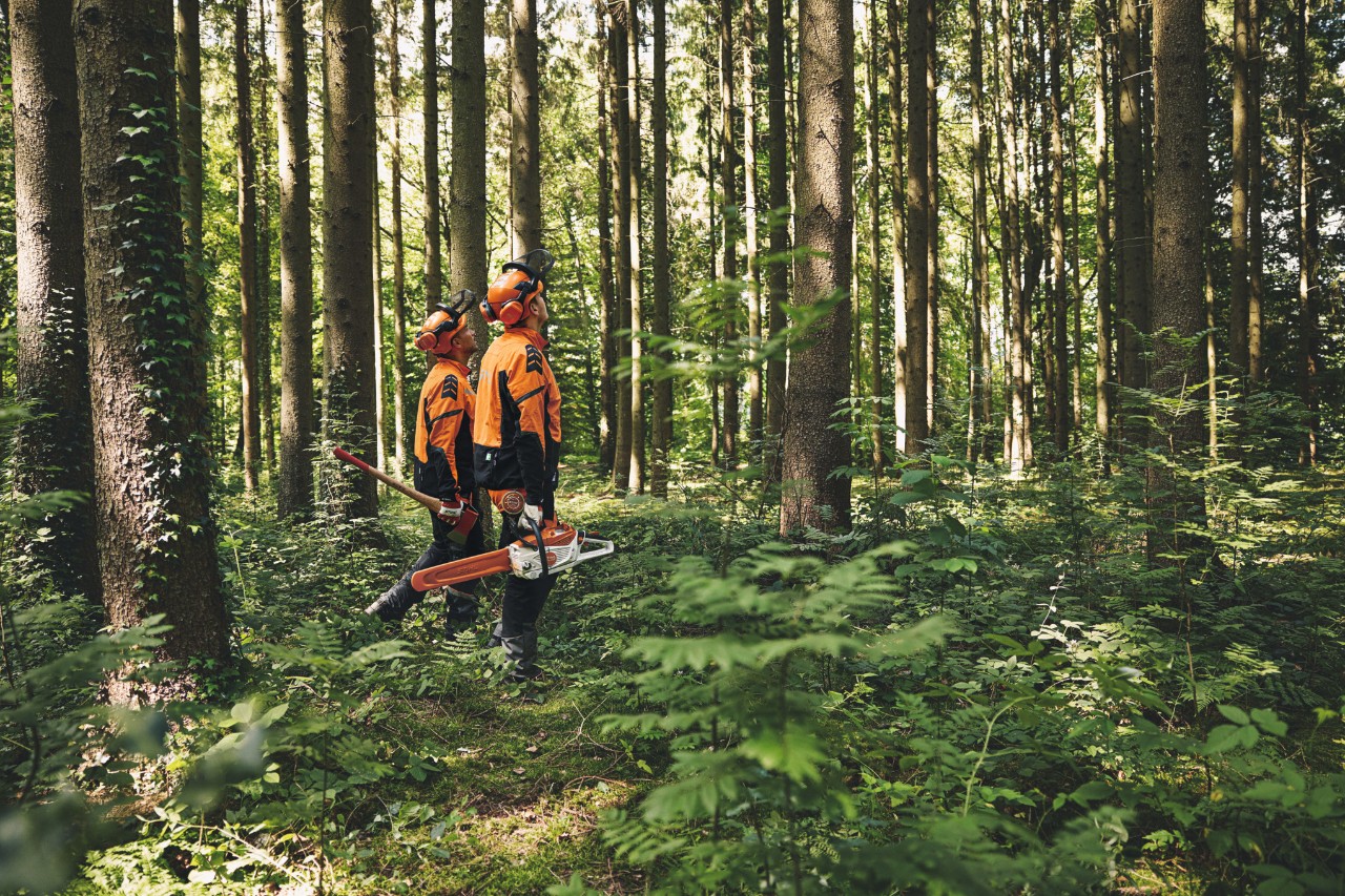STIHL Geschichte